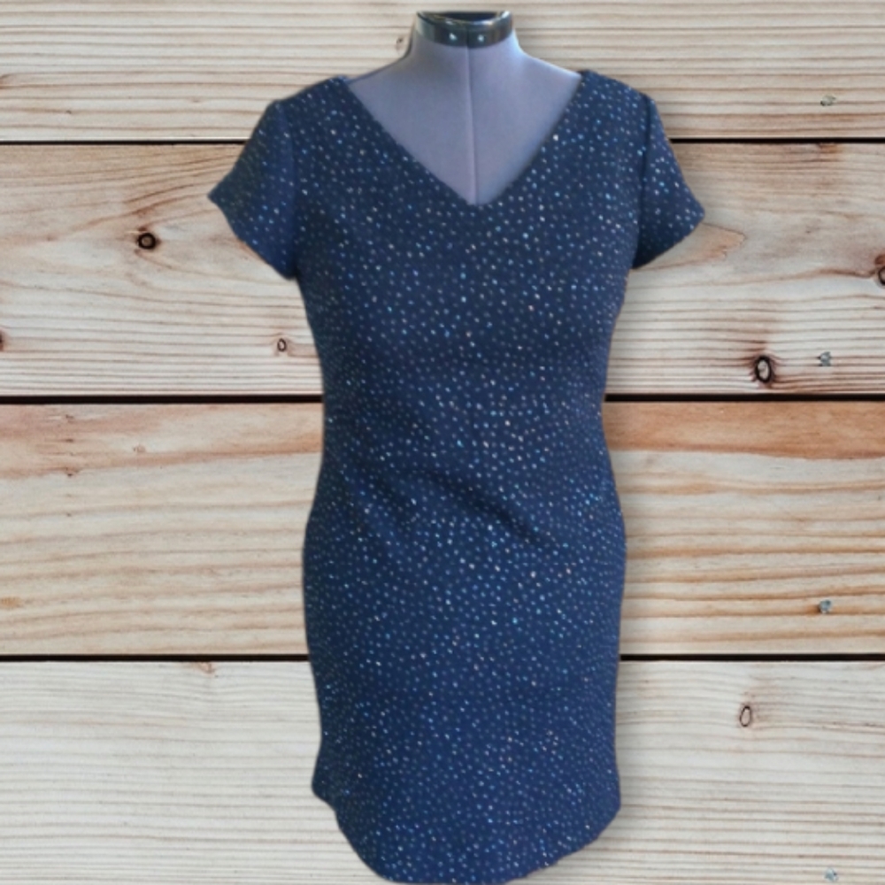 David Warren Petites Navy Blue Dress